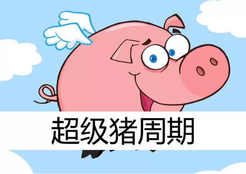 2019年下半年豬價預測：7、9月兩次大漲，第四季度將達到頂峰